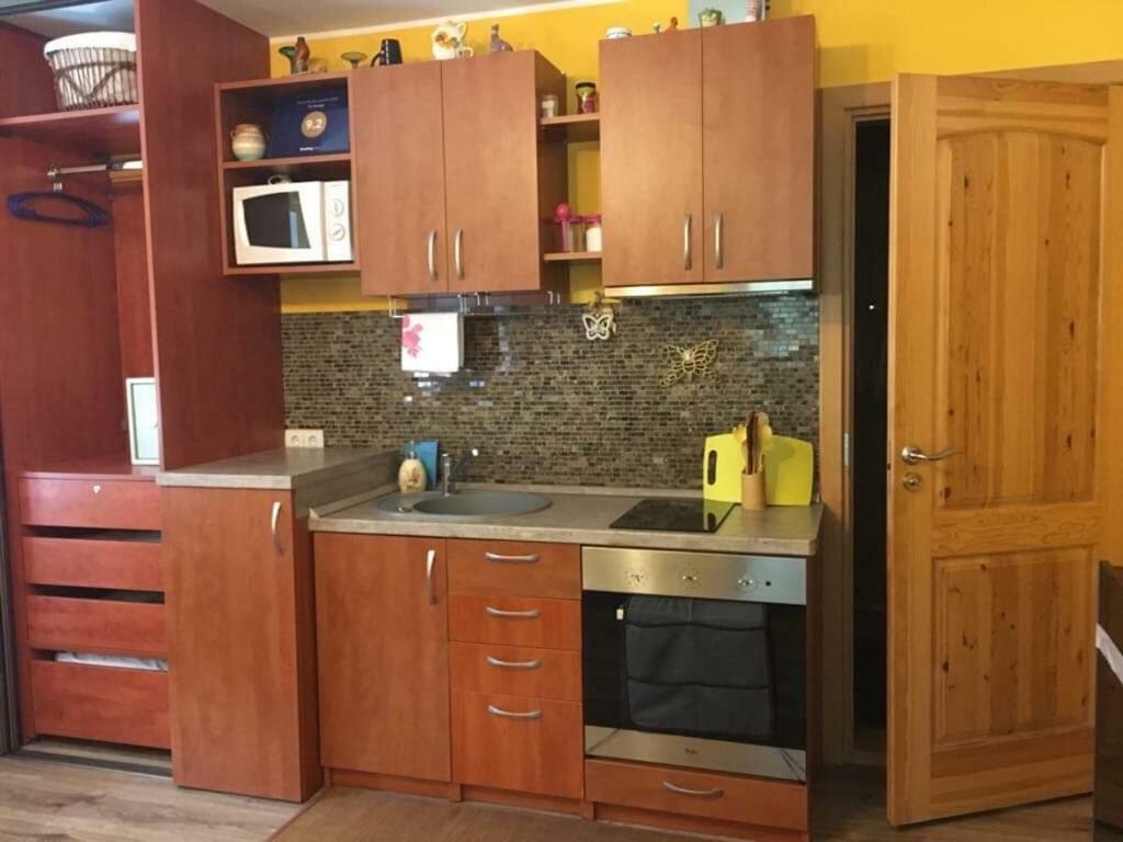 דרוסקינינקאי Du Draugai Apartment מראה חיצוני תמונה
